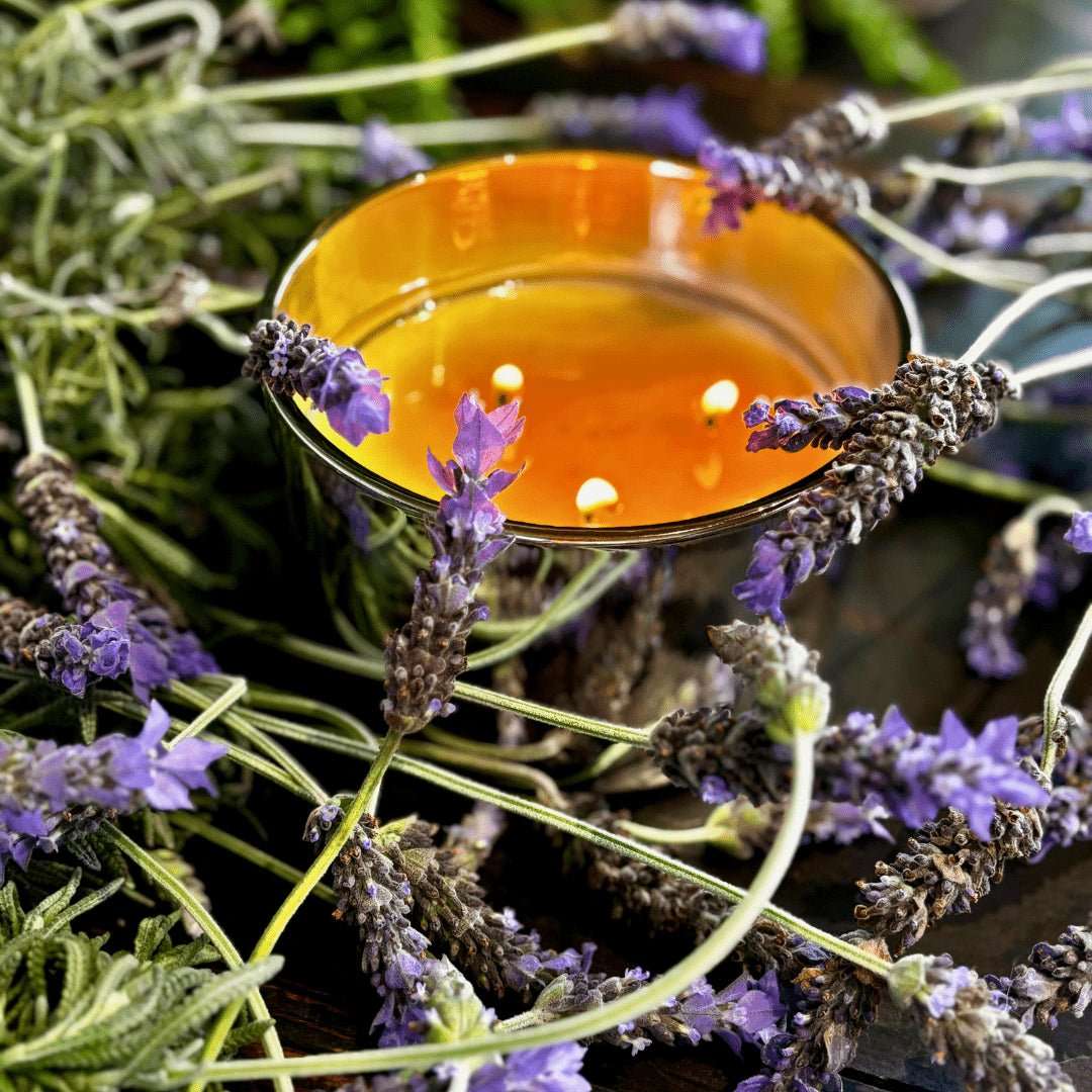 French Lavender Candle - Abbey Rose