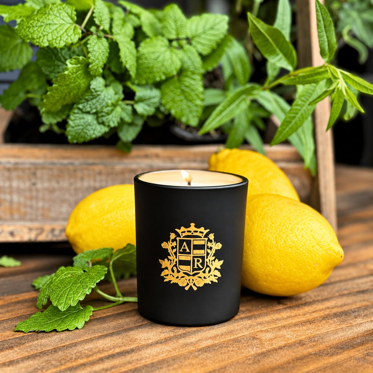 Lemon Verbena Candle - Abbey Rose
