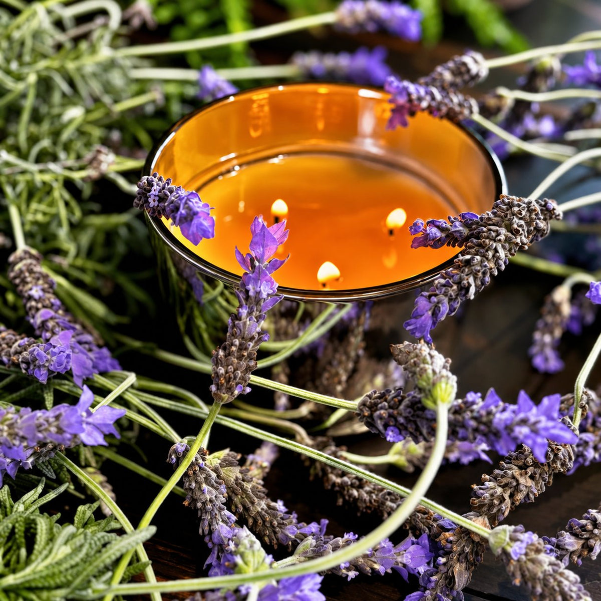 French Lavender Candle - Abbey Rose