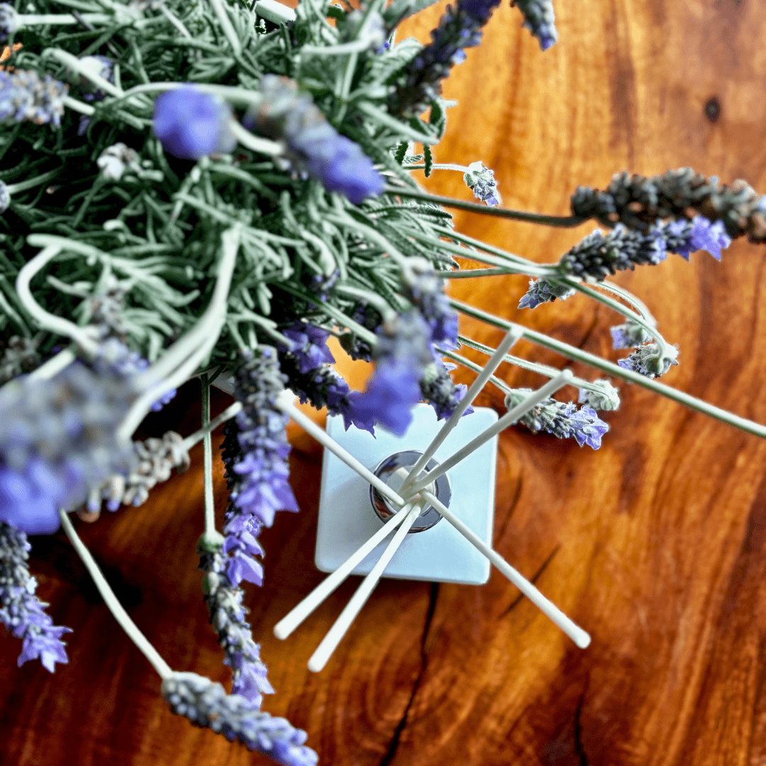 French Lavender Diffuser - Abbey Rose