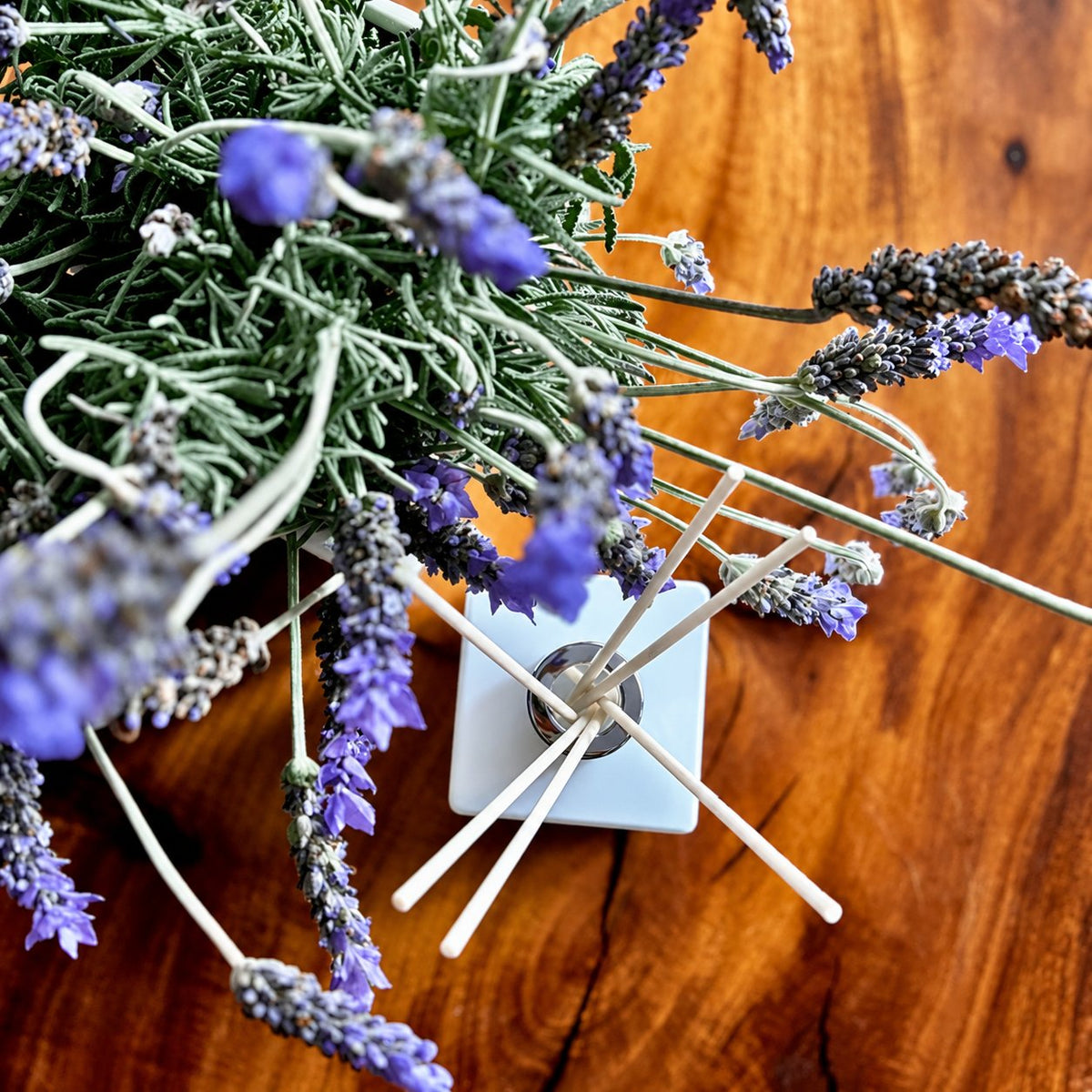 French Lavender Diffuser - Abbey Rose
