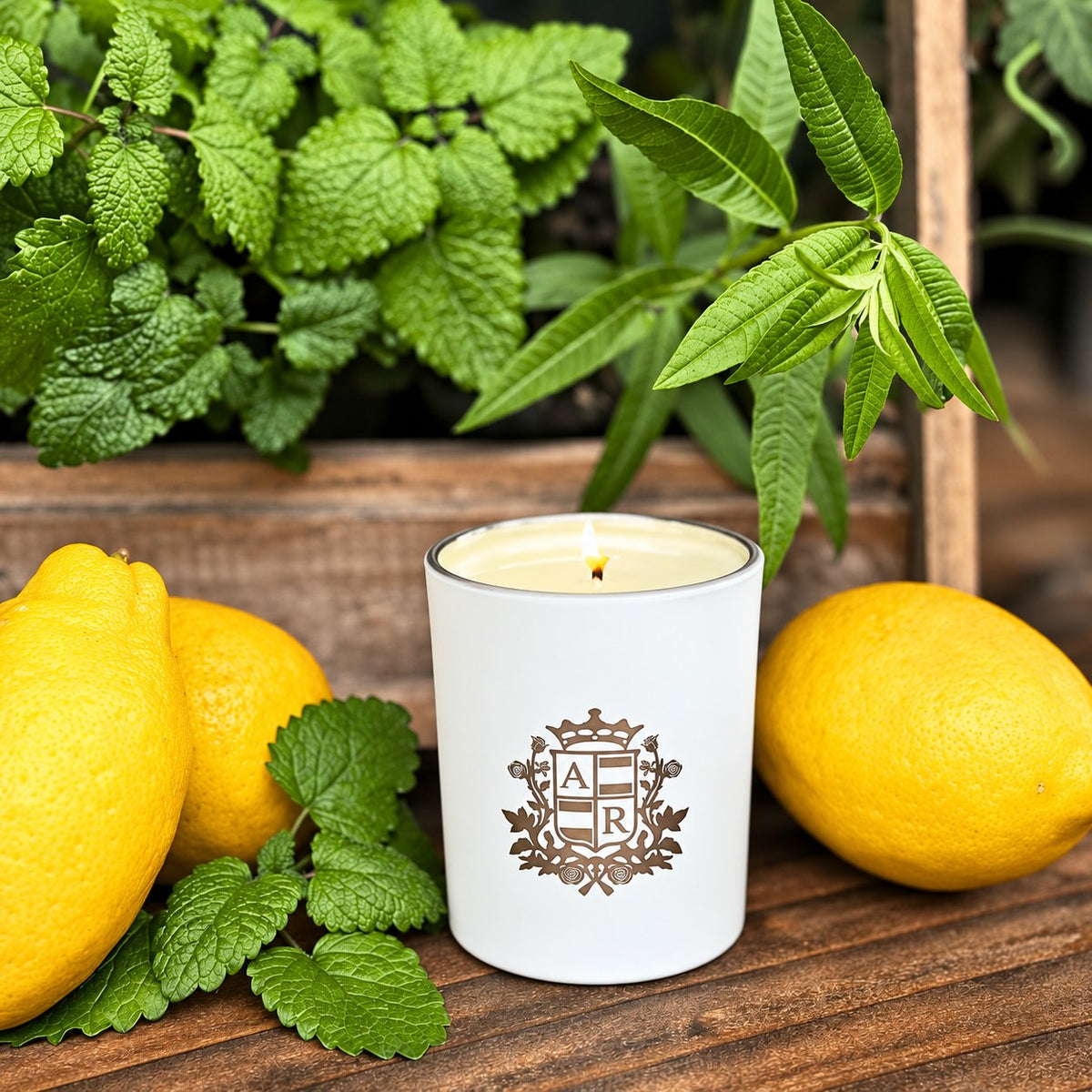 Lemon Verbena Candle - Abbey Rose