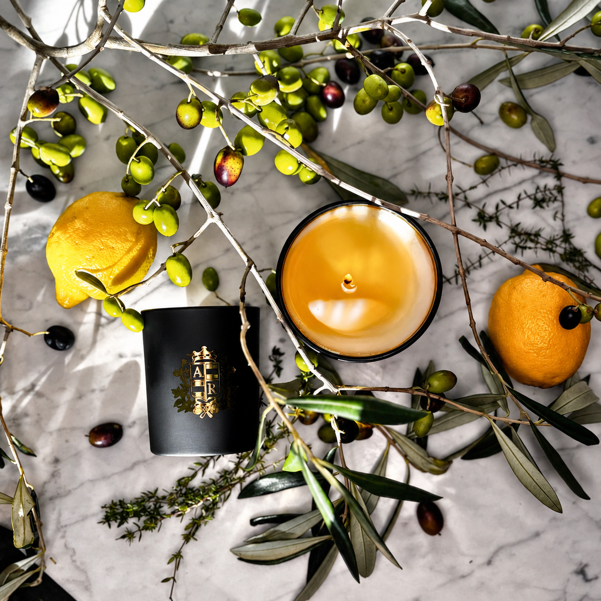 Thyme & Olive Leaf Soy Candle - Abbey Rose
